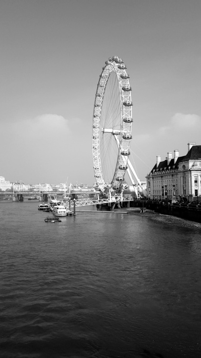 From the Westminster Bridge